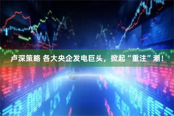 卢深策略 各大央企发电巨头，掀起“重注”潮！