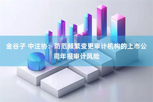 金谷子 中注协：防范频繁变更审计机构的上市公司年报审计风险