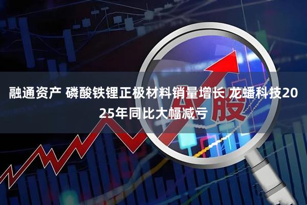 融通资产 磷酸铁锂正极材料销量增长 龙蟠科技2025年同比大幅减亏