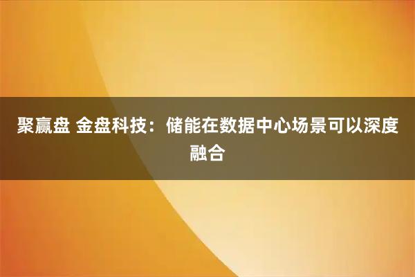 聚赢盘 金盘科技：储能在数据中心场景可以深度融合