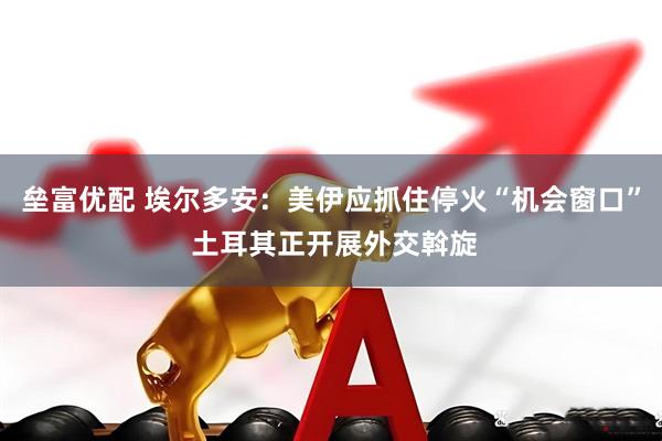 垒富优配 埃尔多安：美伊应抓住停火“机会窗口” 土耳其正开展外交斡旋